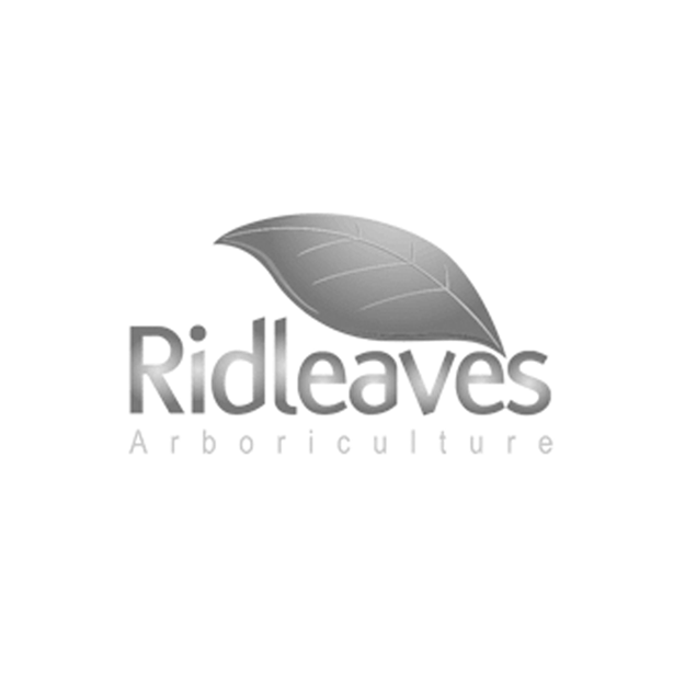 Ridleaves Ltd