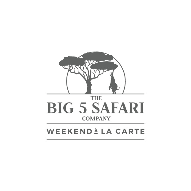 Big 5 Safari